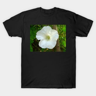 Flower T-Shirt